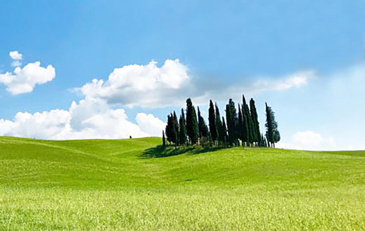 La Casa Nel Poggio 247 Vicino A Siena Διαμέρισμα Ponte a Tressa Εξωτερικό φωτογραφία